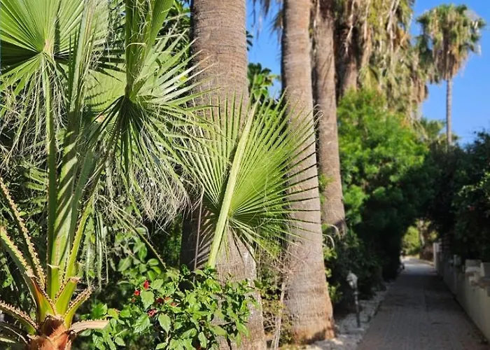 King's Park Unit 2 - Elevated Coastal 1br Appartamento Paphos